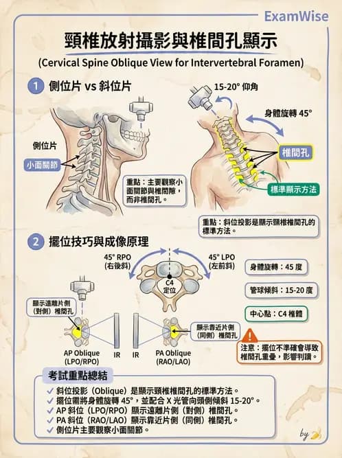 放射 - 頭頸脊椎攝影技術 - AI 圖文解析預覽