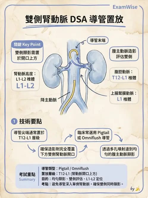 放射 - 血管攝影原理與解剖 - AI 圖文解析預覽