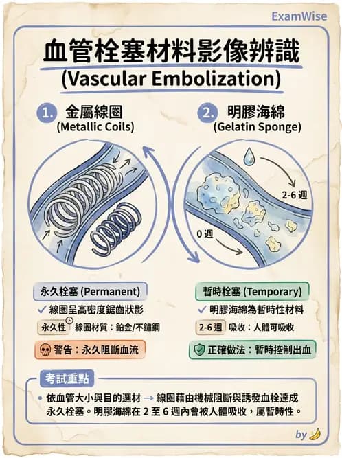 放射 - 導管技術與介入性治療 - AI 圖文解析預覽