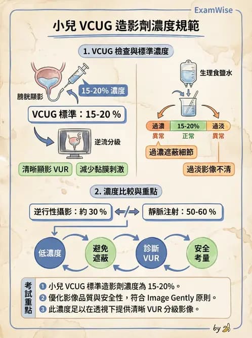 放射 - 泌尿生殖攝影 - AI 圖文解析預覽