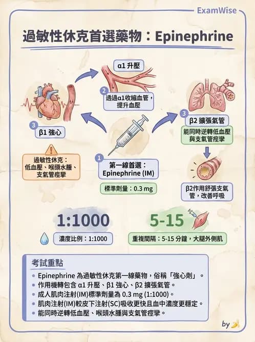 放射 - 導管技術與介入性治療 - AI 圖文解析預覽
