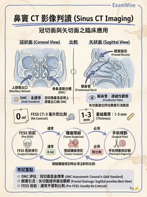 放射 - 頭頸部CT診斷 - AI 圖文解析預覽