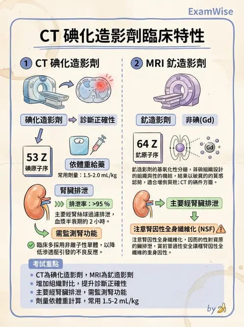 放射 - CTA與CT影像技術應用 - AI 圖文解析預覽