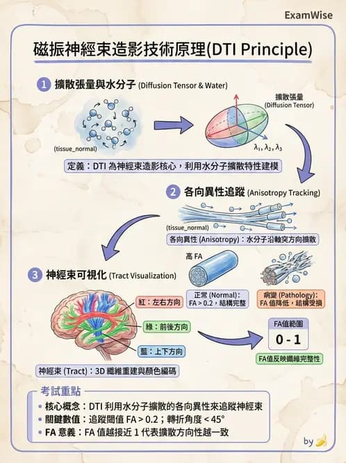 放射 - MR進階影像與臨床應用 - AI 圖文解析預覽