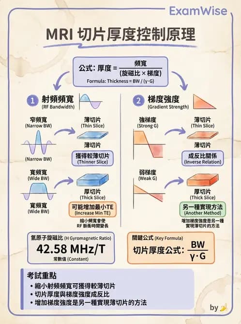 放射 - 磁振影像品質與參數 - AI 圖文解析預覽