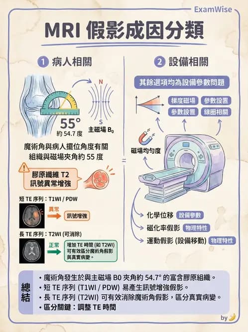 放射 - 磁振影像品質與參數 - AI 圖文解析預覽