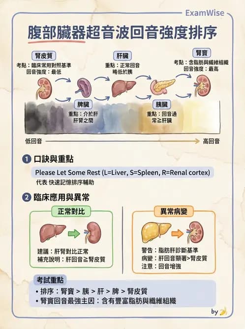 放射 - 超音波物理與技術 - AI 圖文解析預覽