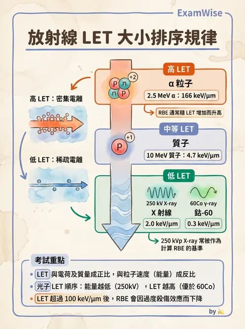 放射 - LET、RBE、OER與復氧效應 - AI 圖文解析預覽
