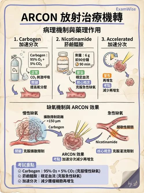 放射 - 時間劑量分次效應 - AI 圖文解析預覽