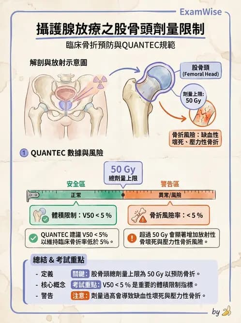 放射 - 疾病部位計畫與危急器官保護 - AI 圖文解析預覽
