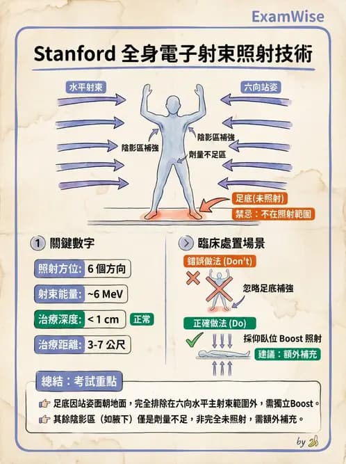 放射 - 全身放射治療技術(TBI/TSET) - AI 圖文解析預覽