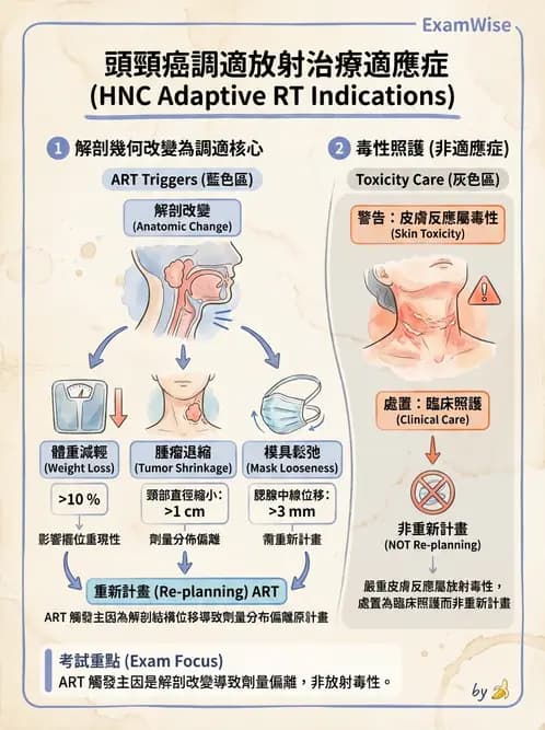 放射 - 影像導引放射治療(IGRT)與臨床應用 - AI 圖文解析預覽