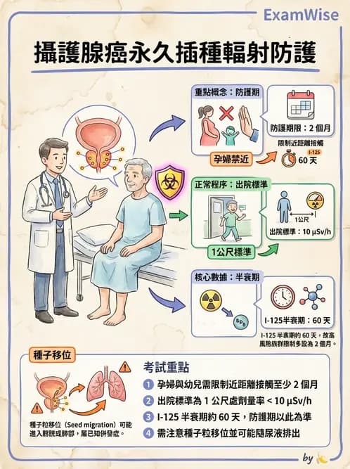 放射 - 放射治療輻射防護 - AI 圖文解析預覽