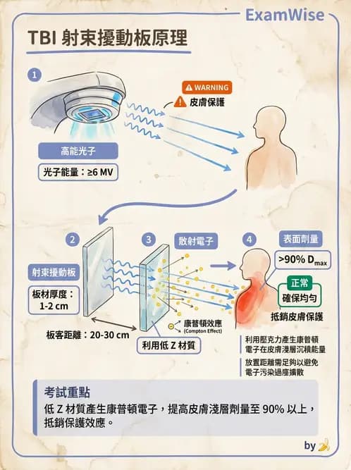放射 - 全身放射治療技術(TBI/TSET) - AI 圖文解析預覽