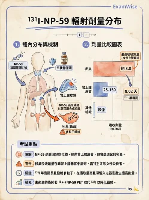 放射 - 體內吸收劑量 - AI 圖文解析預覽