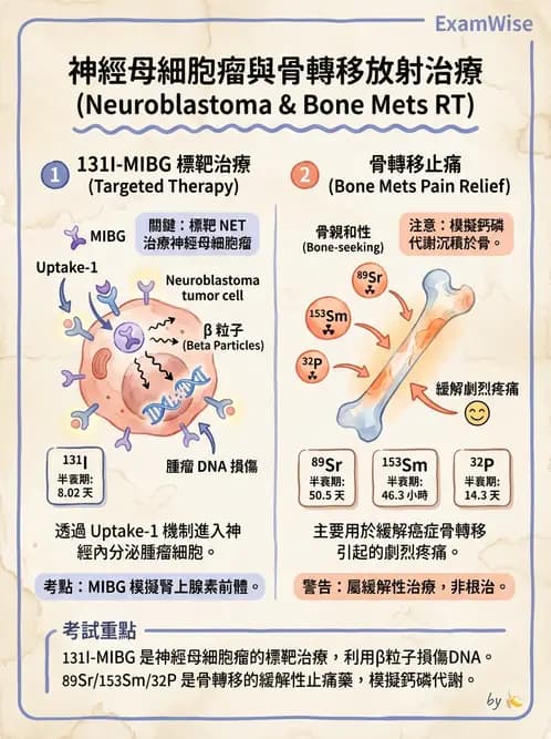 放射 - 腫瘤治療 - AI 圖文解析預覽