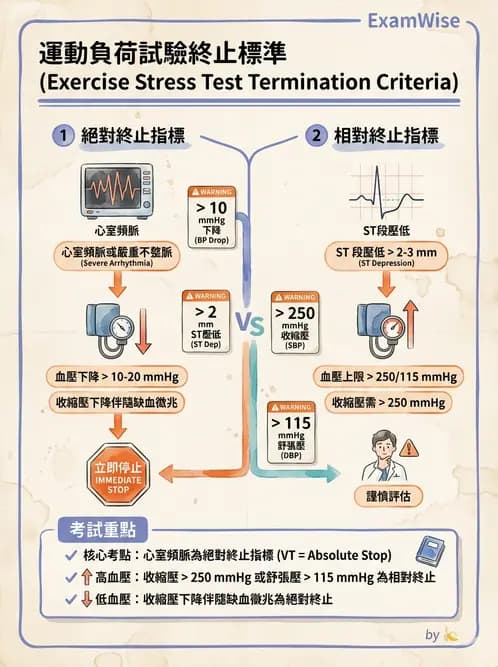 放射 - 心臟灌注造影 - AI 圖文解析預覽