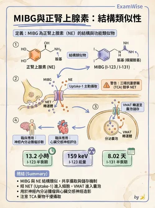 放射 - 腫瘤與內分泌造影SPECT藥物 - AI 圖文解析預覽