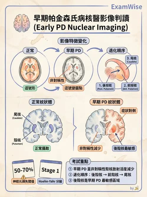 放射 - 腦部造影 - AI 圖文解析預覽