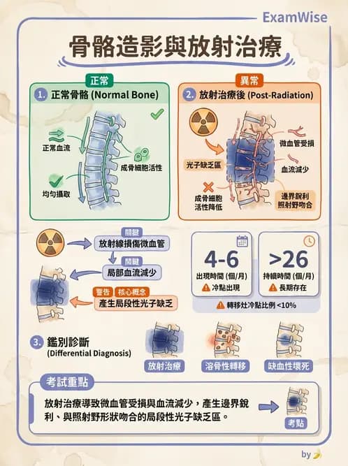 放射 - 骨骼造影 - AI 圖文解析預覽