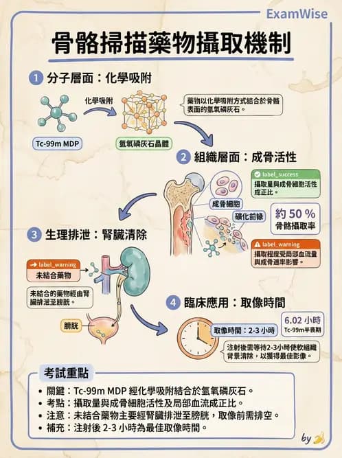 放射 - 骨骼與發炎造影SPECT藥物 - AI 圖文解析預覽