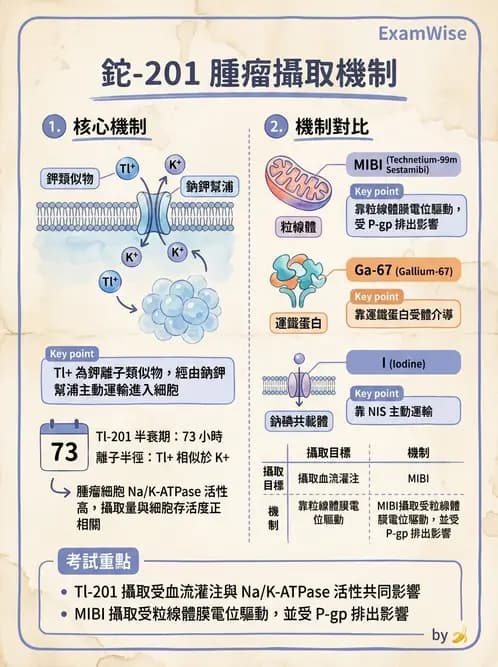 放射 - 腫瘤與內分泌造影SPECT藥物 - AI 圖文解析預覽