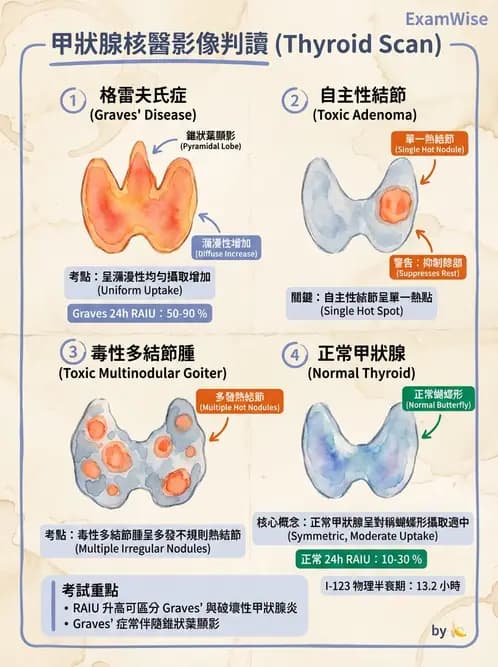 放射 - 甲狀腺造影 - AI 圖文解析預覽