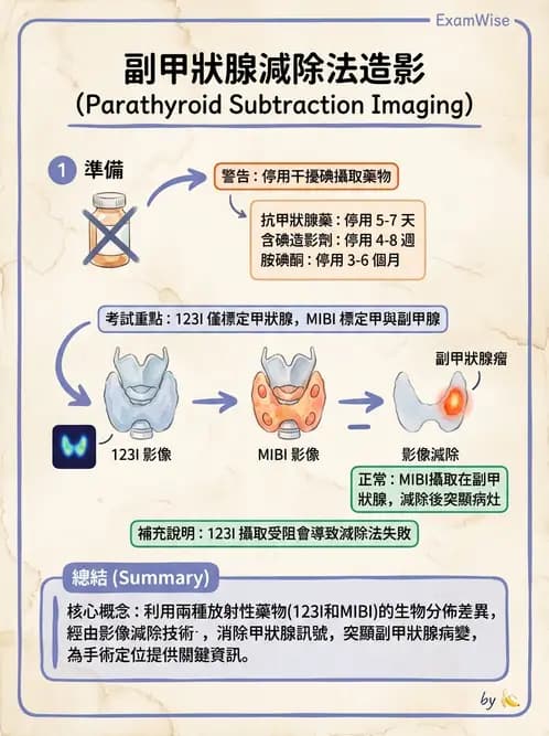 放射 - 副甲狀腺與前哨淋巴結造影 - AI 圖文解析預覽