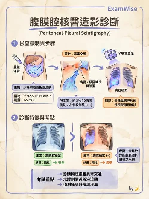 放射 - 消化道造影 - AI 圖文解析預覽
