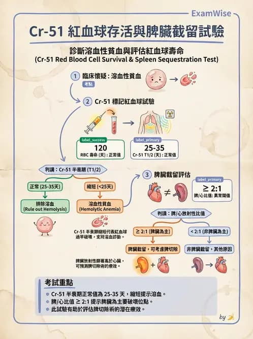 放射 - 消化道造影 - AI 圖文解析預覽