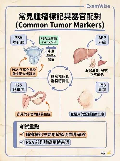 放射 - 免疫分析品管與臨床應用 - AI 圖文解析預覽