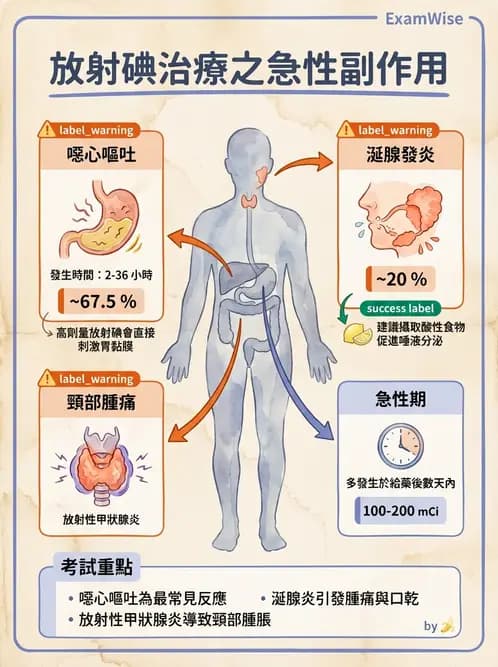 放射 - 腫瘤治療 - AI 圖文解析預覽