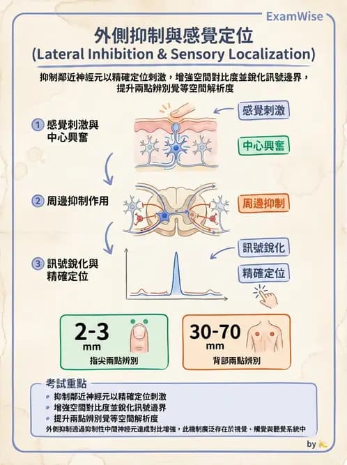 放射 - 神經生理 - AI 圖文解析預覽