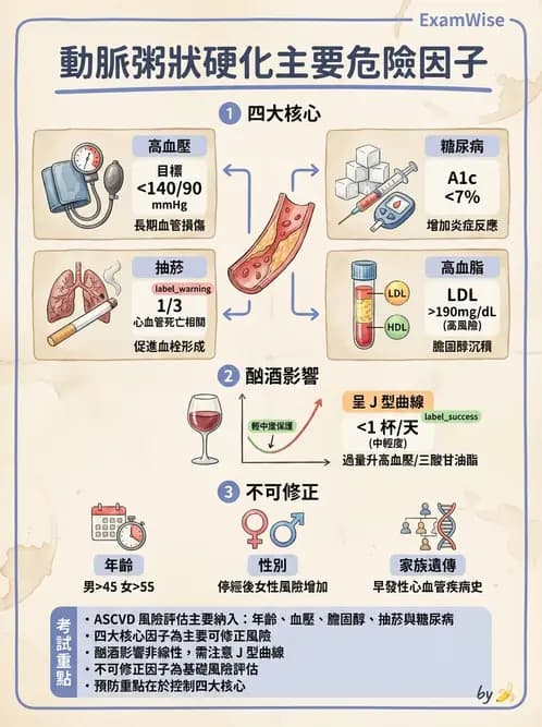 放射 - 心臟及血管疾病 - AI 圖文解析預覽
