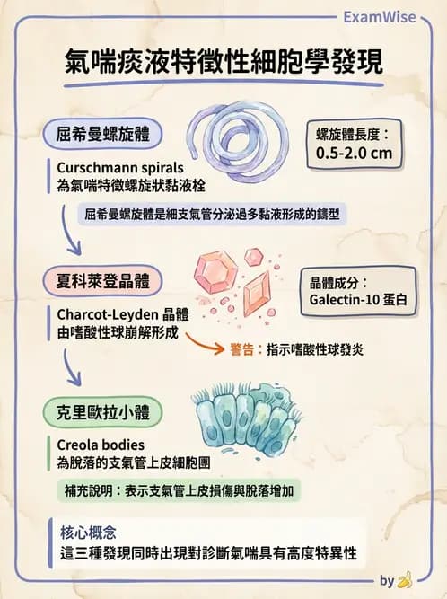 放射 - 呼吸系統疾病 - AI 圖文解析預覽
