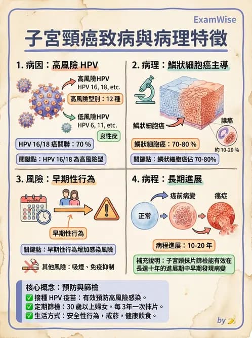 放射 - 生殖系統及乳房疾病 - AI 圖文解析預覽