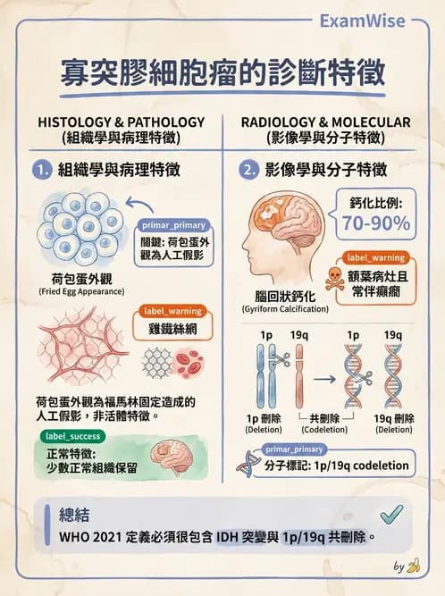 放射 - 神經系統疾病 - AI 圖文解析預覽