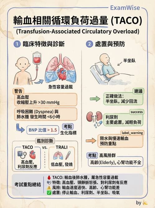 護理師 - 輸血與藥物計算 - AI 圖文解析預覽