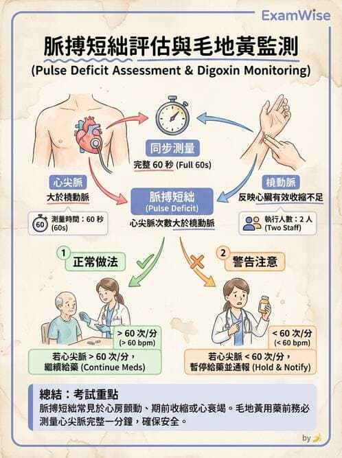 護理師 - 循環評估(脈搏與血壓) - AI 圖文解析預覽