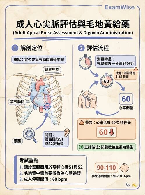 護理師 - 循環評估(脈搏與血壓) - AI 圖文解析預覽