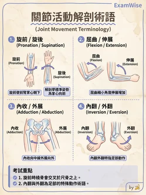 護理師 - 運動功能與傷口護理 - AI 圖文解析預覽