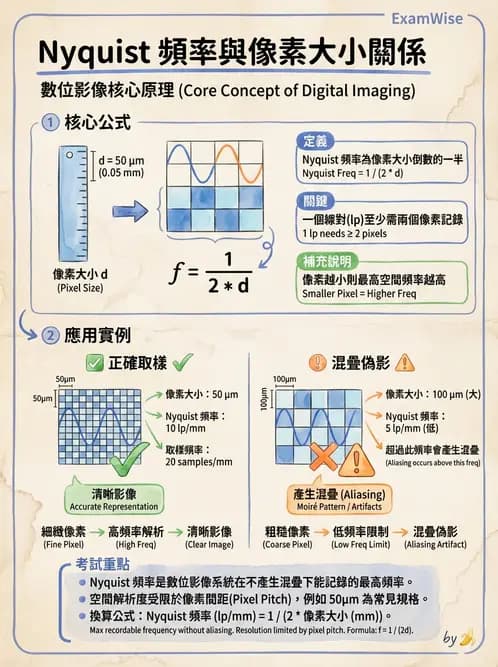 放射 - 透視與數位影像 - AI 圖文解析預覽
