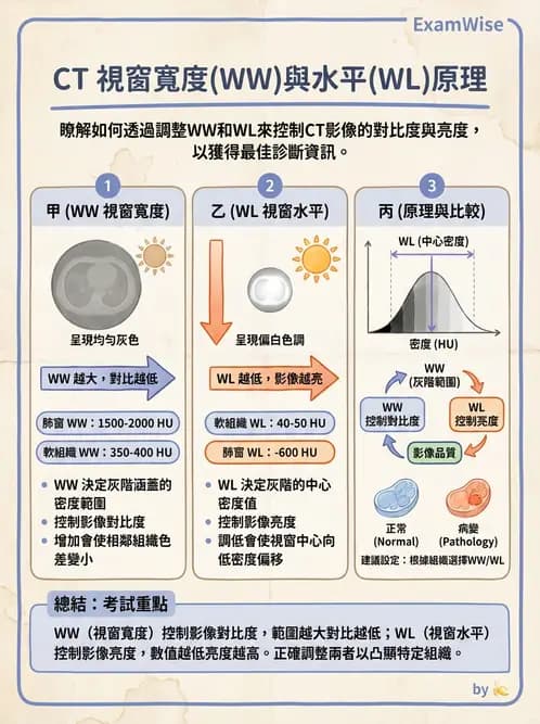 放射 - 透視與數位影像 - AI 圖文解析預覽