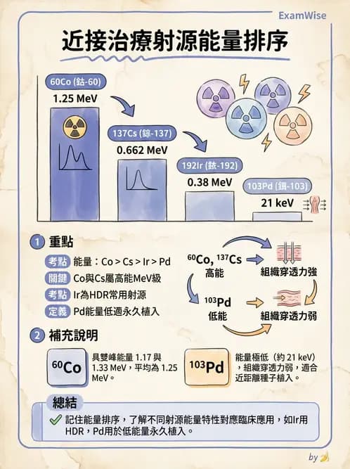 放射 - 特殊治療技術 - AI 圖文解析預覽