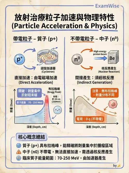 放射 - 特殊治療技術 - AI 圖文解析預覽