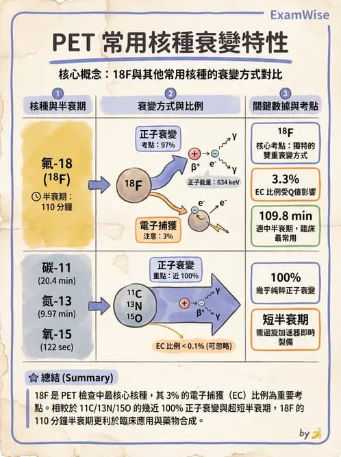 放射 - 放射性蛻變模式 - AI 圖文解析預覽