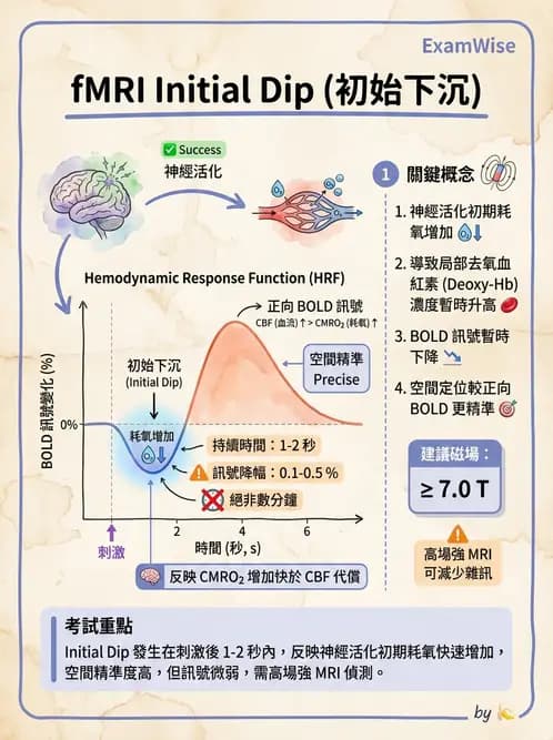 放射 - 脈衝序列與影像對比 - AI 圖文解析預覽