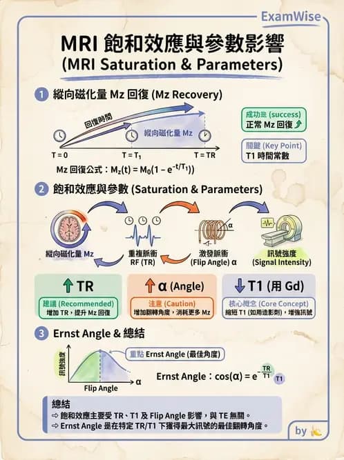 放射 - MRI基本物理與弛緩 - AI 圖文解析預覽