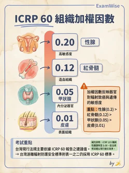 放射 - 輻射防護劑量量 - AI 圖文解析預覽