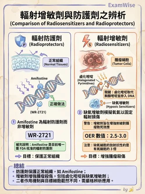 放射 - 輻射物理生物基礎 - AI 圖文解析預覽